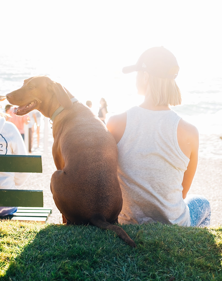 Master Smart Objects Resize After