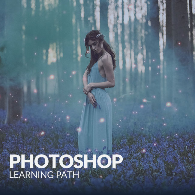 photoshop learning path 2021