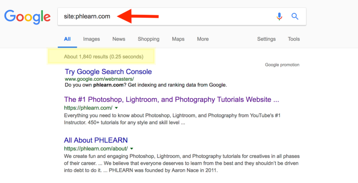 The Basics of Search Engines and Why You Should Care