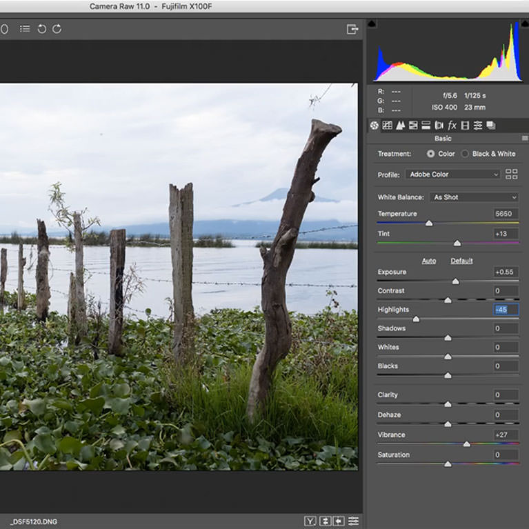 adobe camera raw