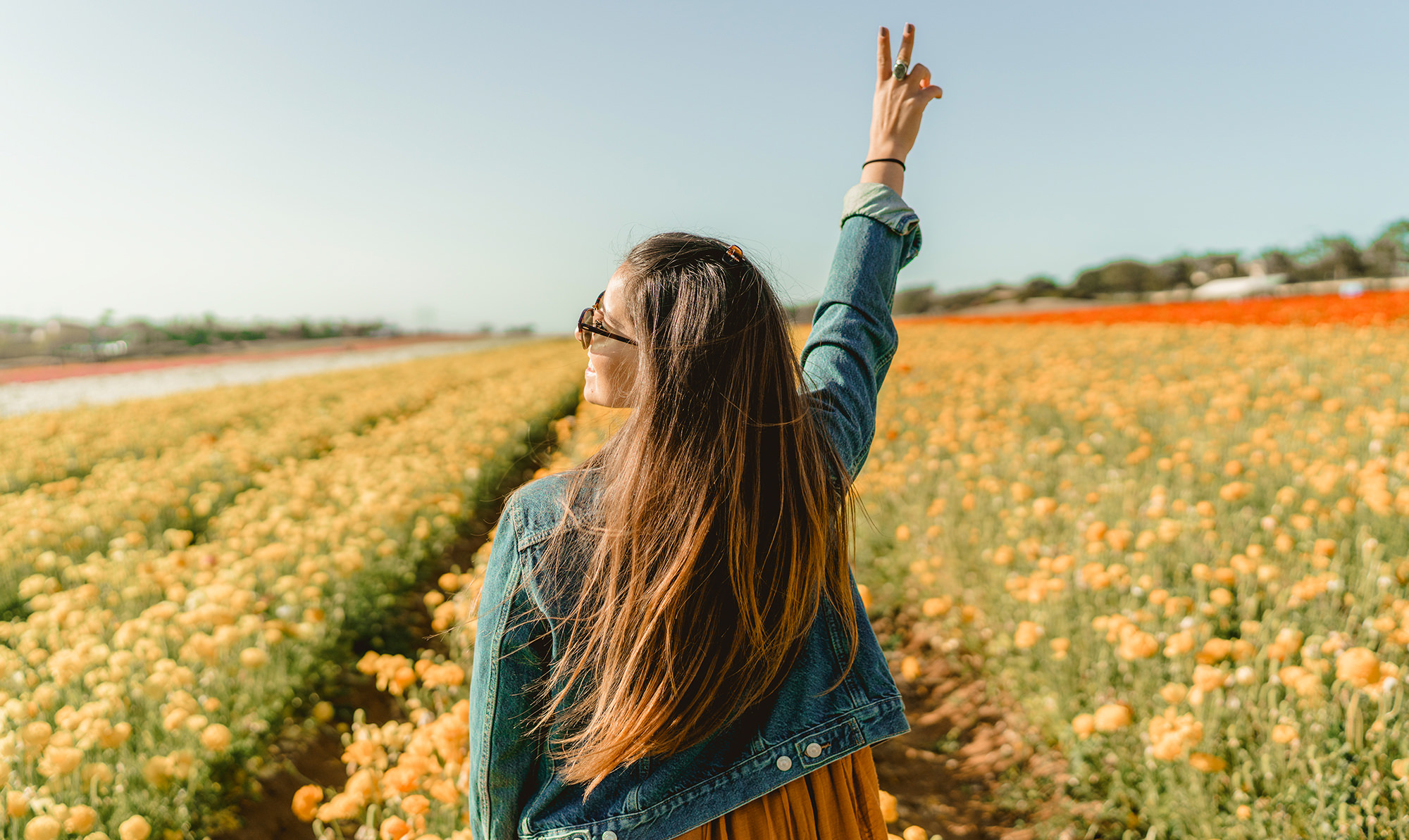 Bold & Vibrant Color Lightroom Presets PHLEARN