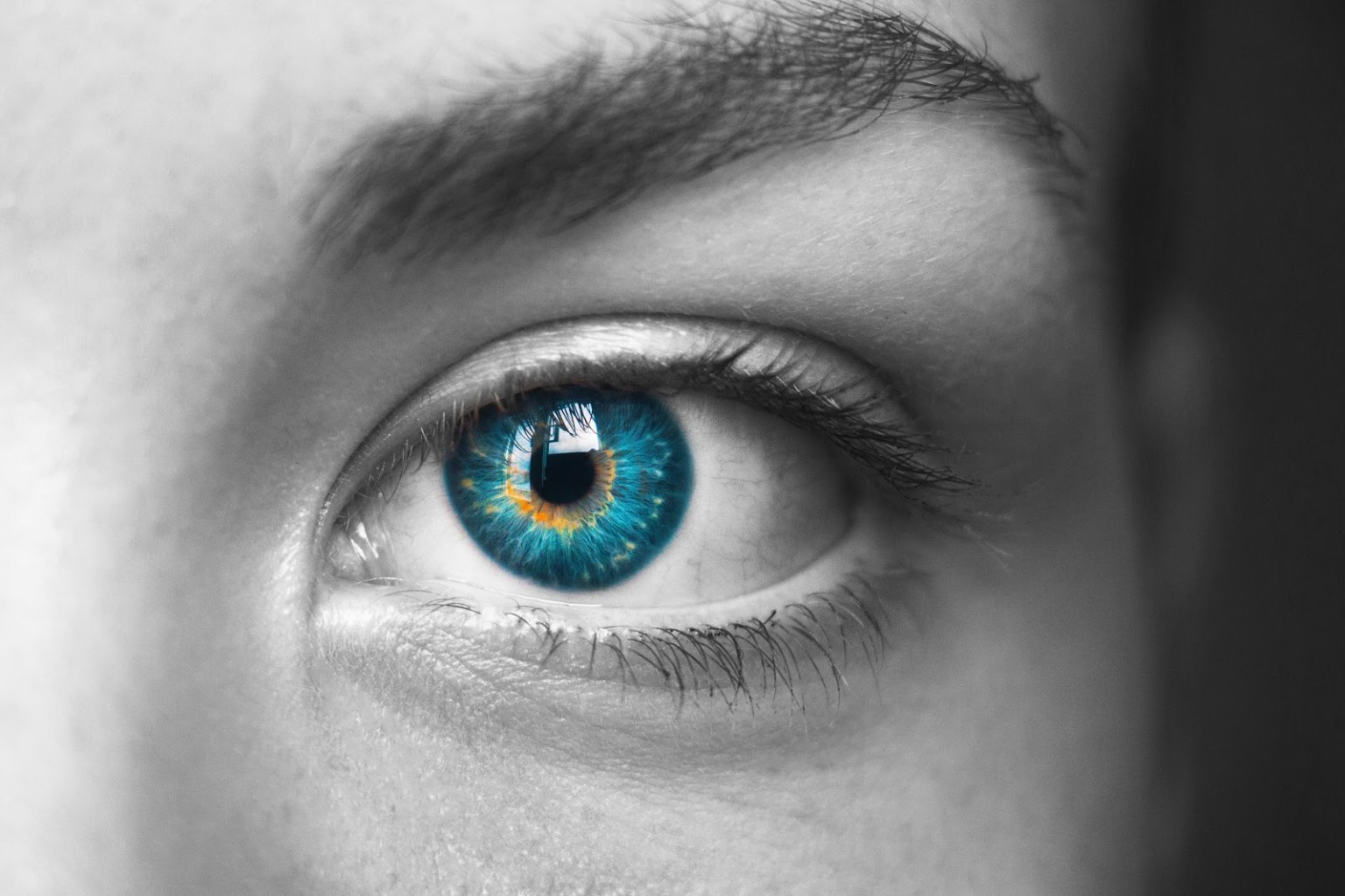 How to Choose Between Color and Black & White