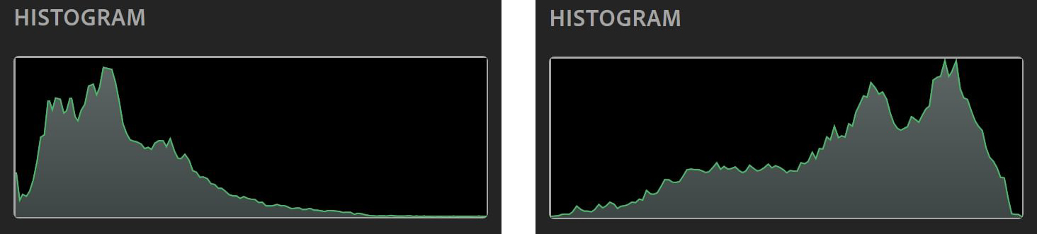 Histograms: How to Read Them and Use Them to Take Better Photos