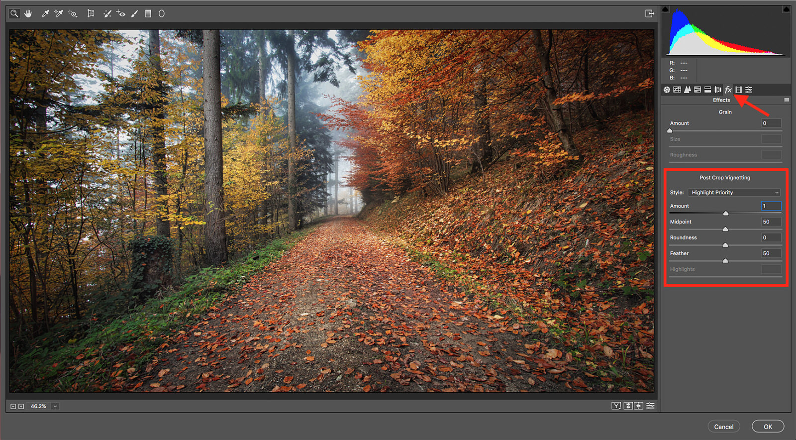 How You Can Use (or Not Use) to Transform Your Photography