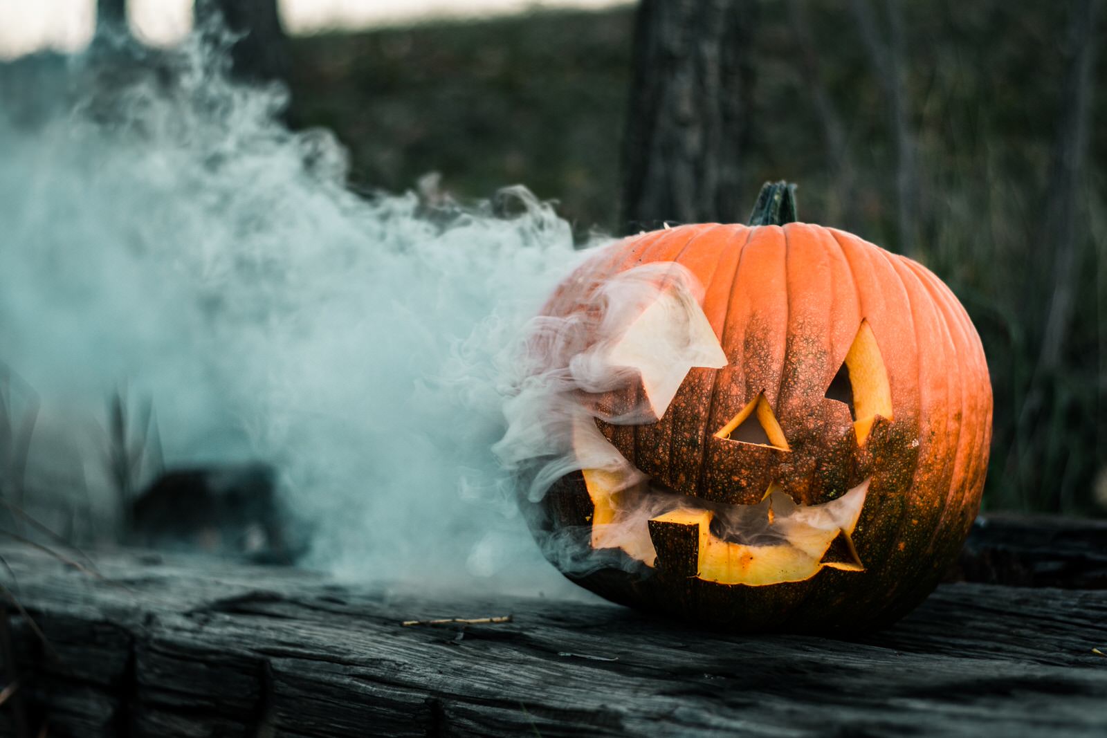 Halloween Photography Guide Image