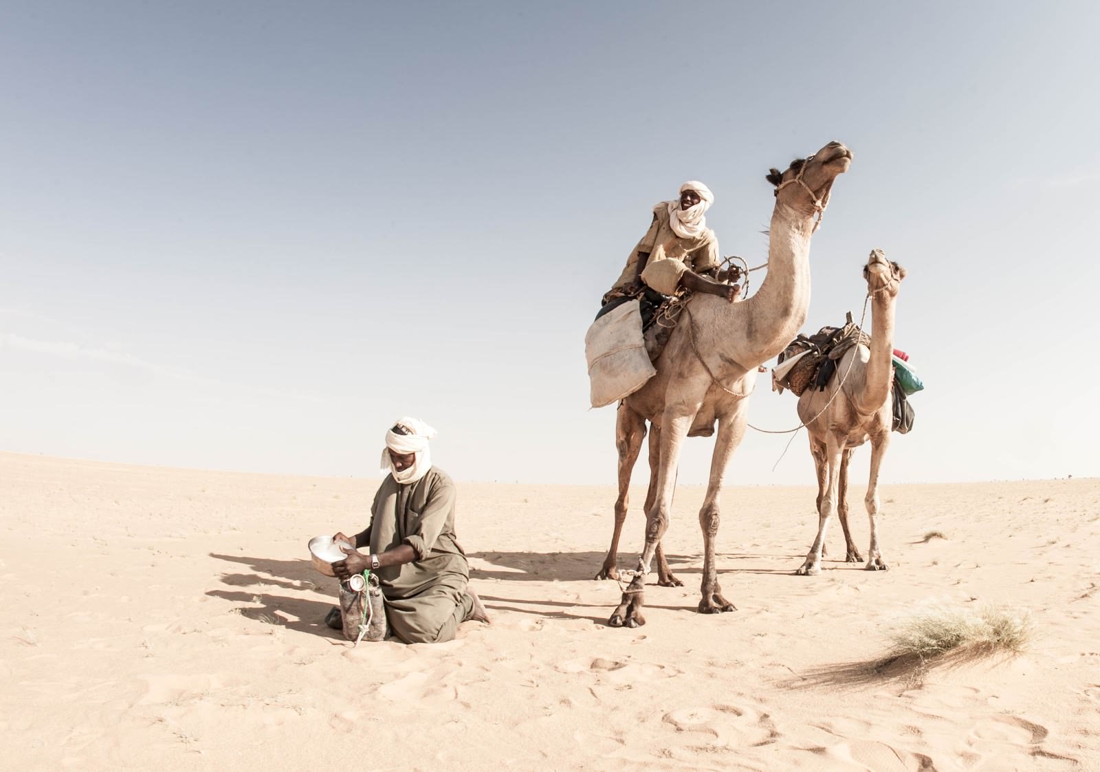 Renan Ozturk camels desert photo