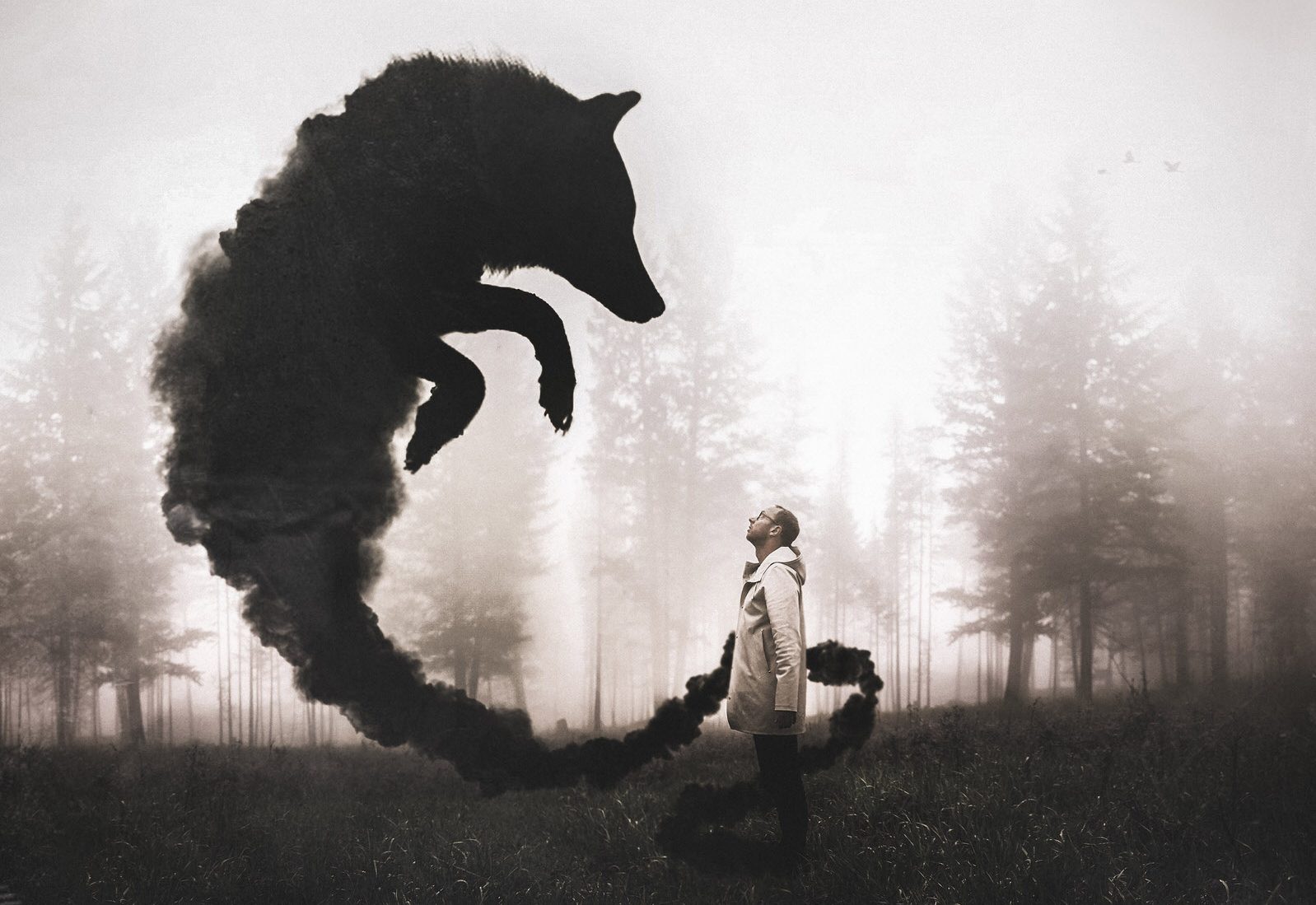 Joel Robison The Black Dog