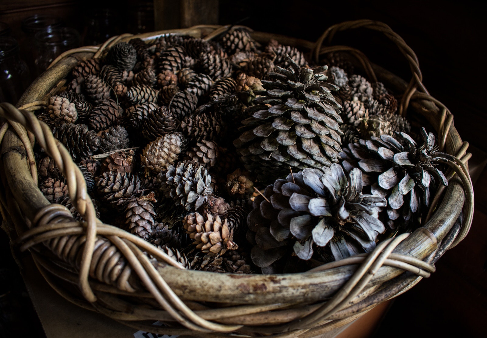 Pine Cones Image