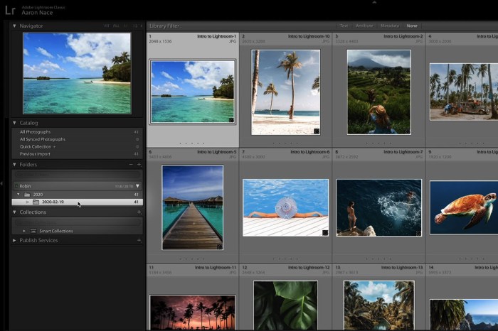 How to Import & Organize Photos in Lightroom Classic - PHLEARN