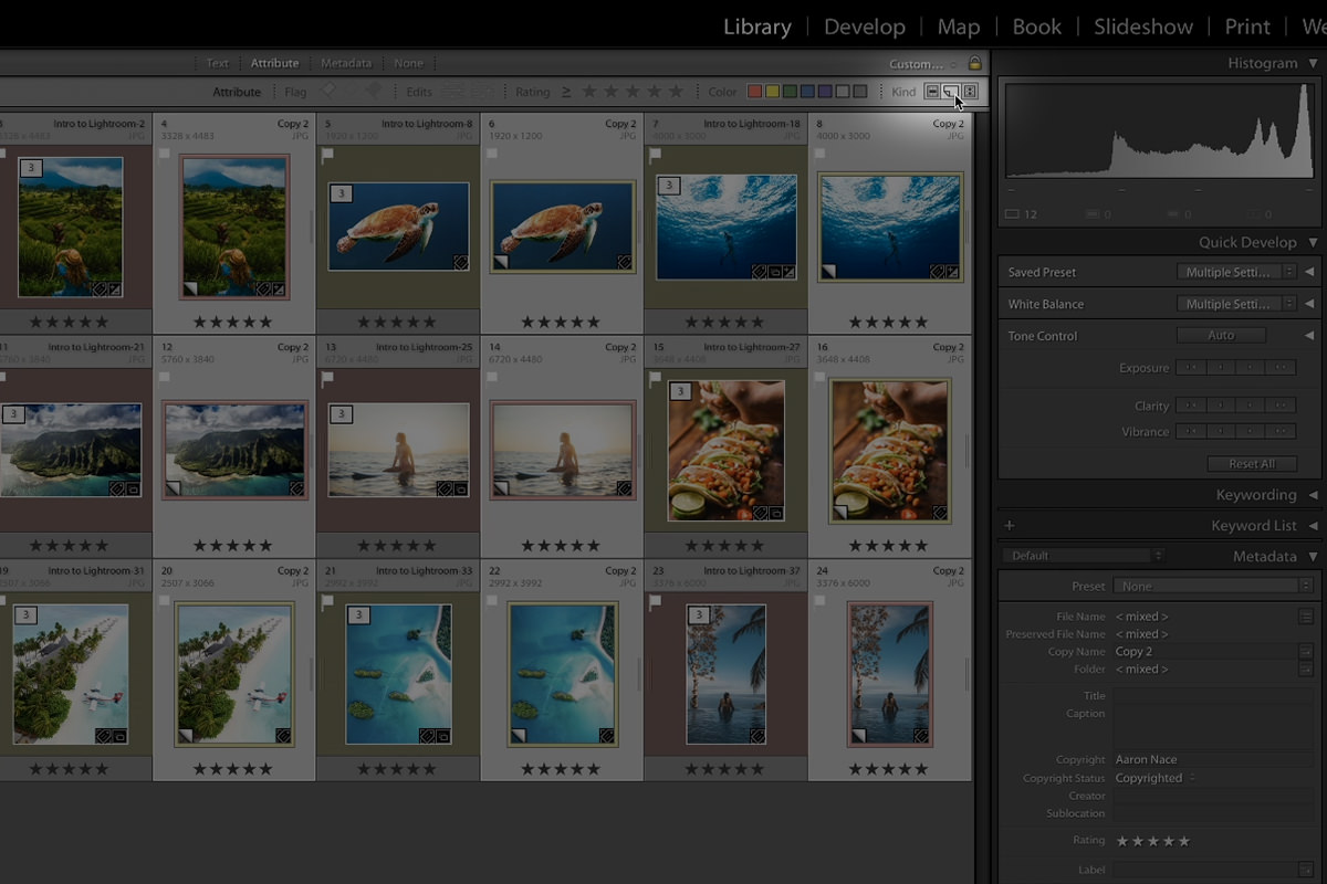 How to Batch Edit Photos in Lightroom Classic PHLEARN