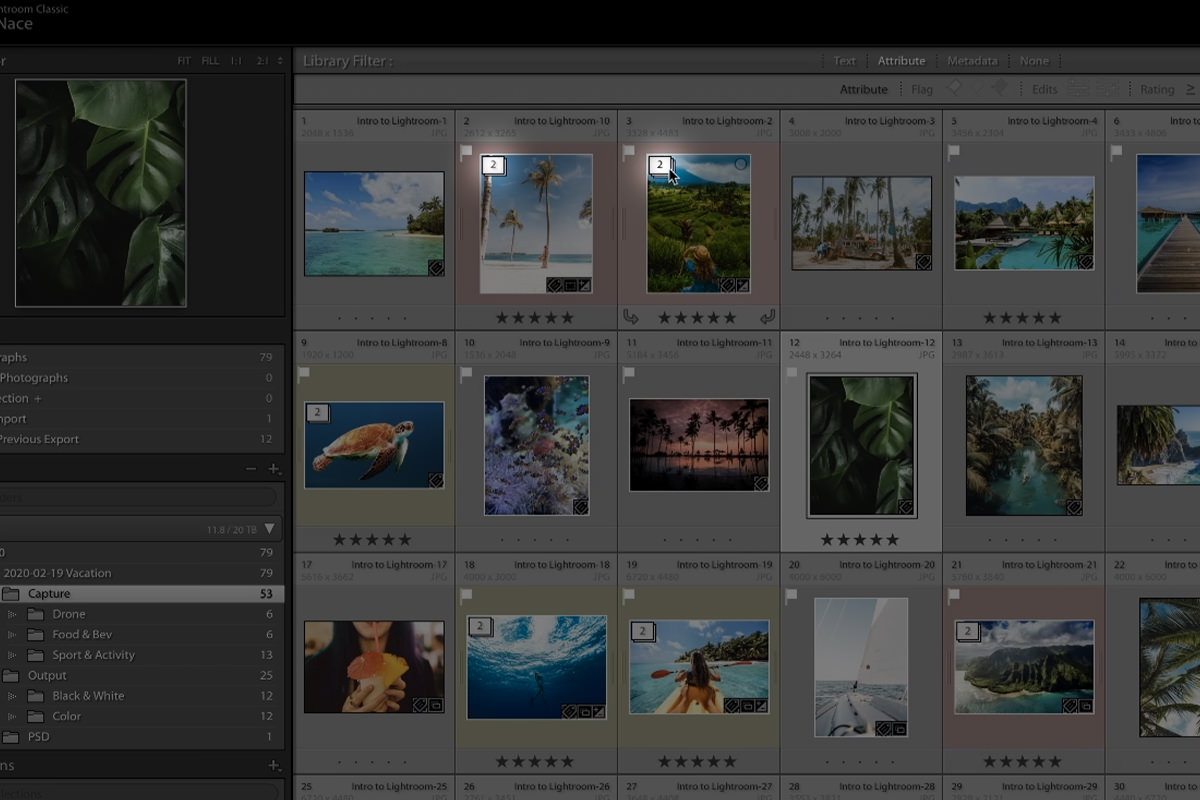 How to Batch Edit Photos in Lightroom Classic PHLEARN