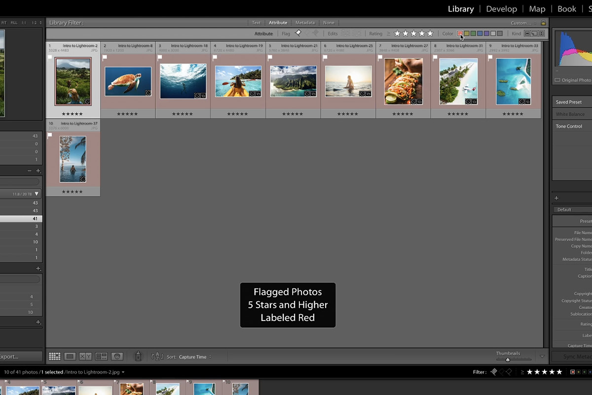 How to Filter & Favorite Images in Lightroom Classic PHLEARN