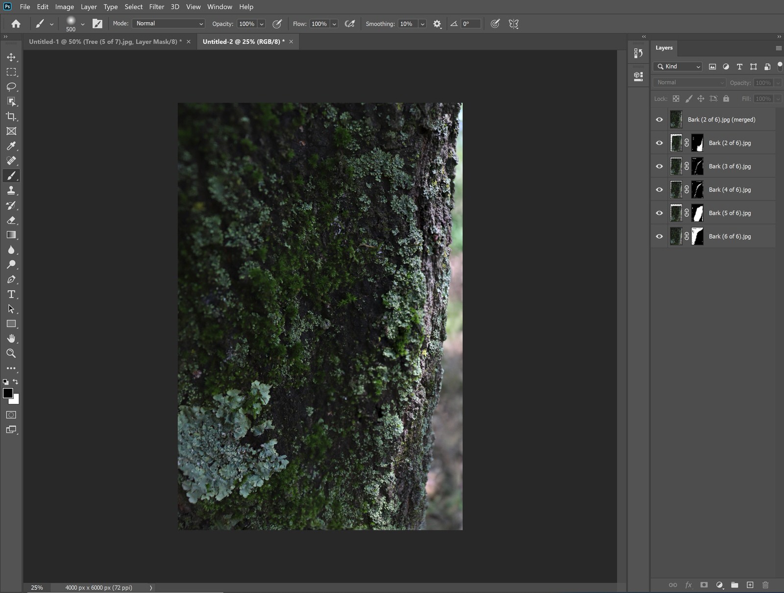 Focus Stacking Series-3