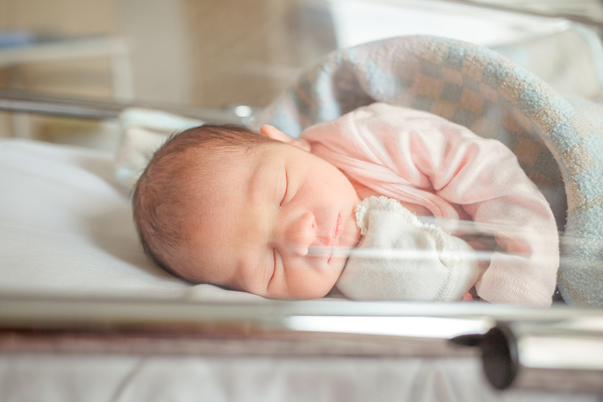 phlearn newborn lightroom presets