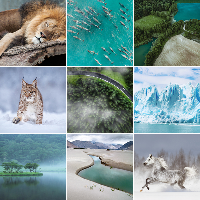 phlearn vibrant nature luts