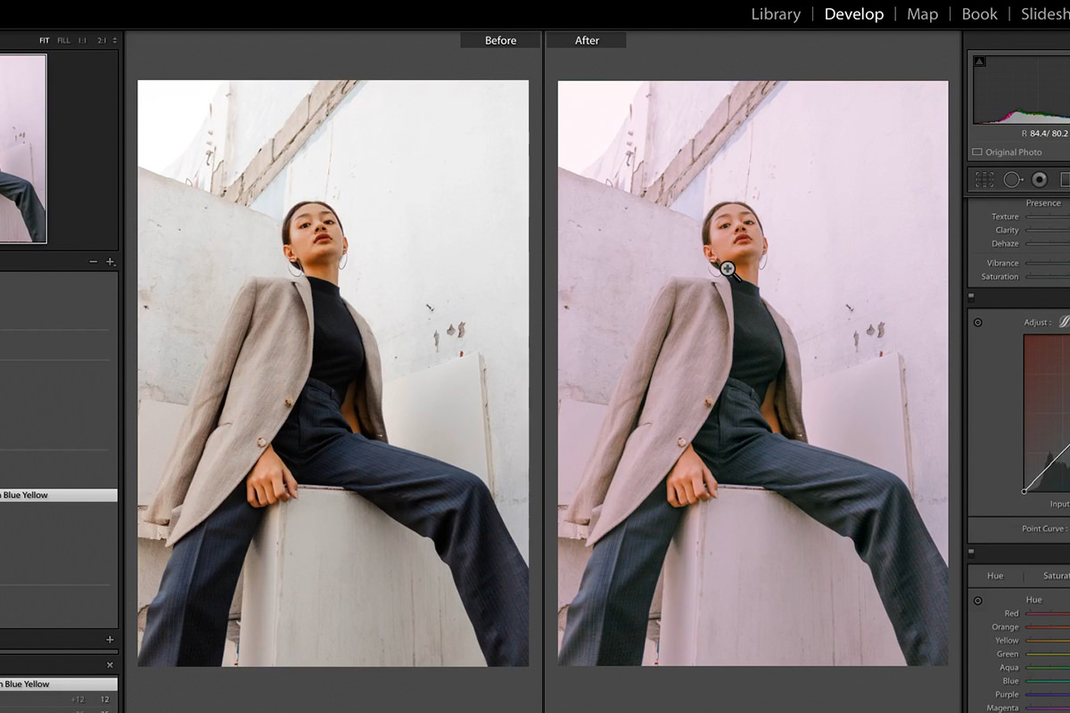 turn your looks into lightroom presets