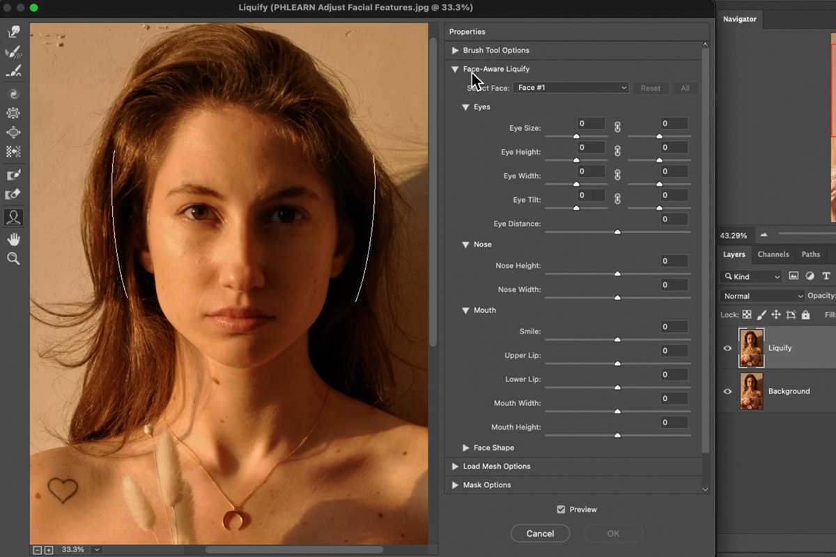 How to Adjust & Change Facial Features in PHLEARN