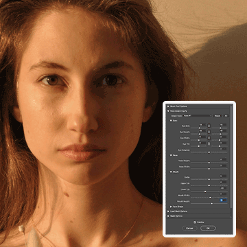 adjust facial features photoshop