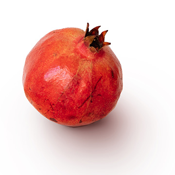 A pomegranate on a white background with a soft cast shadow beneath it, demonstrating how to make realistic shadows in Photoshop