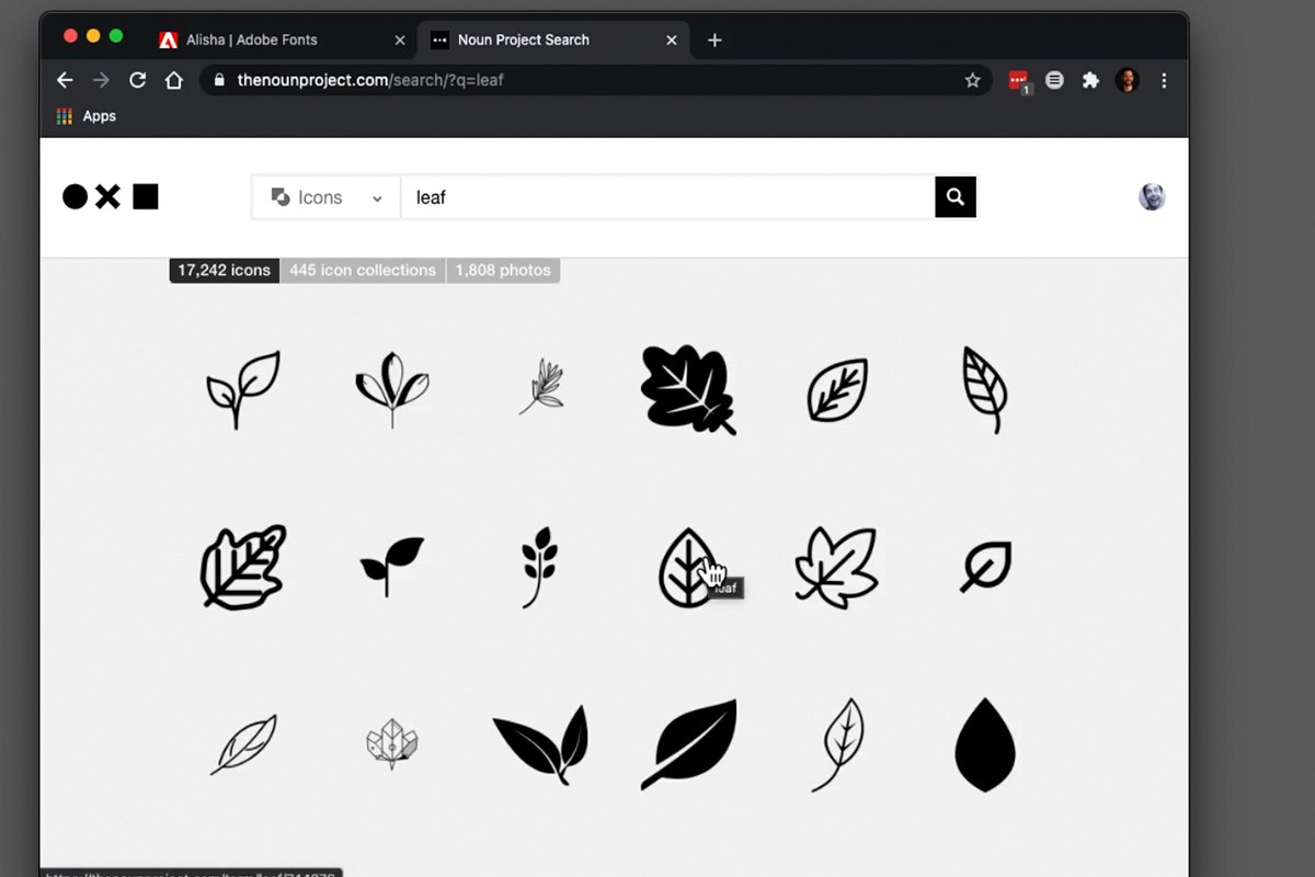 searching The Noun Project for leaf icons