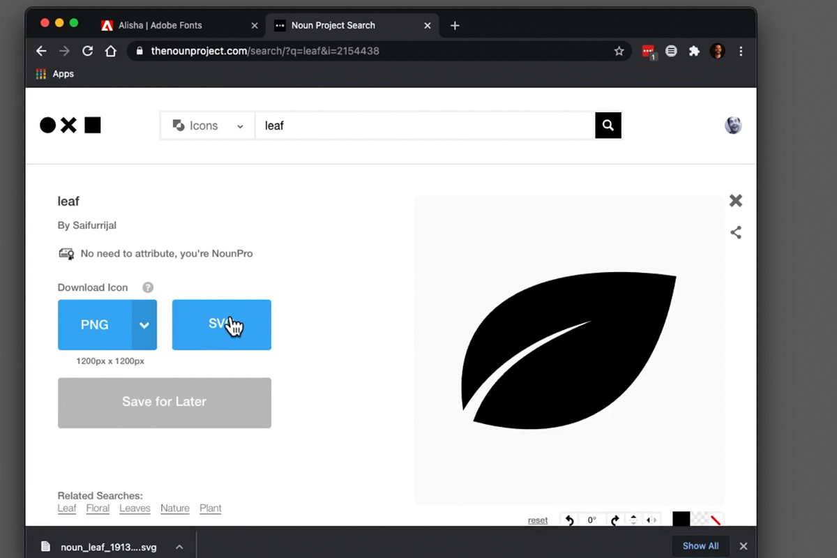 the leaf icon chosen from The Noun Project before download