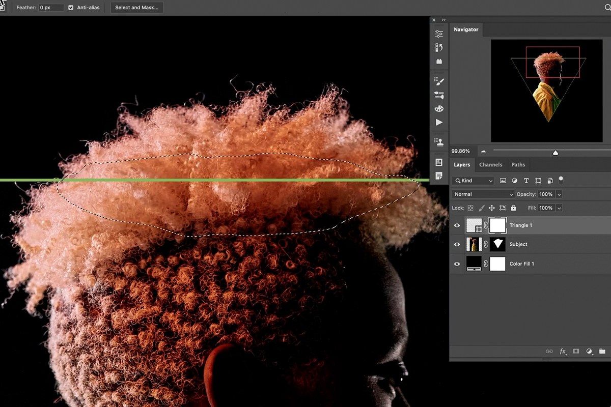 Layer mask applied to the subject from the shape selection
