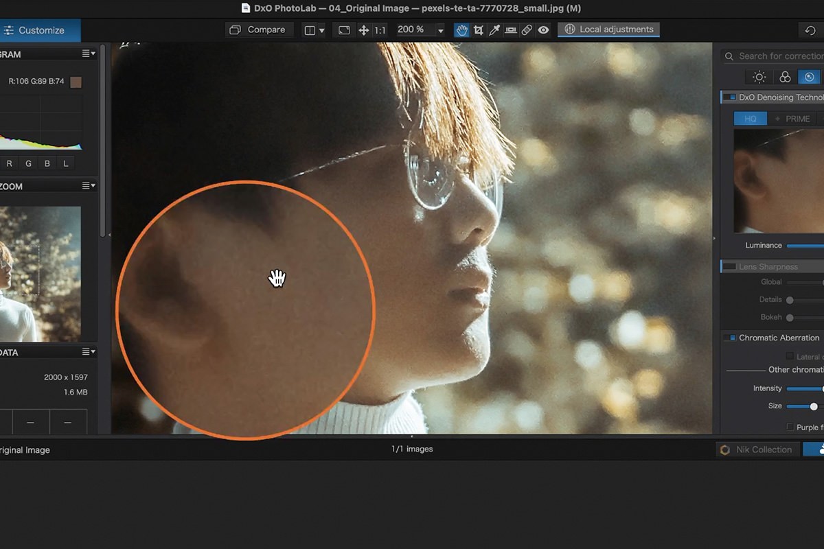 Detail comparison zoomed into the ear across results