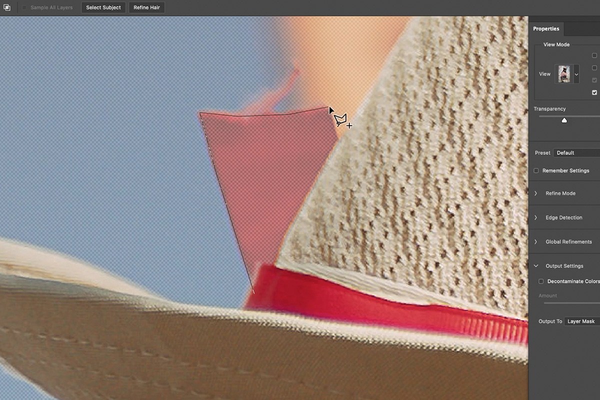 Refine Edge Brush selected in the toolbar