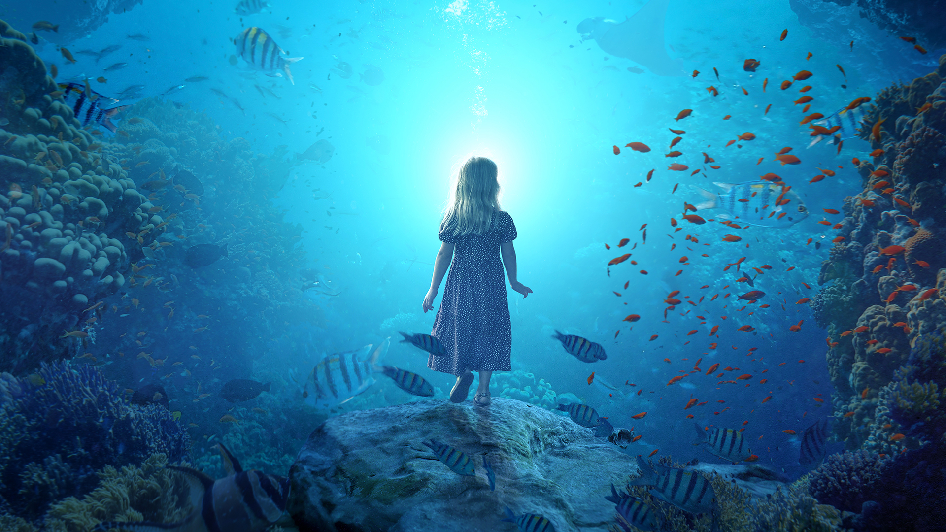 Conceptual Compositing: Creating and Animating an Underwater