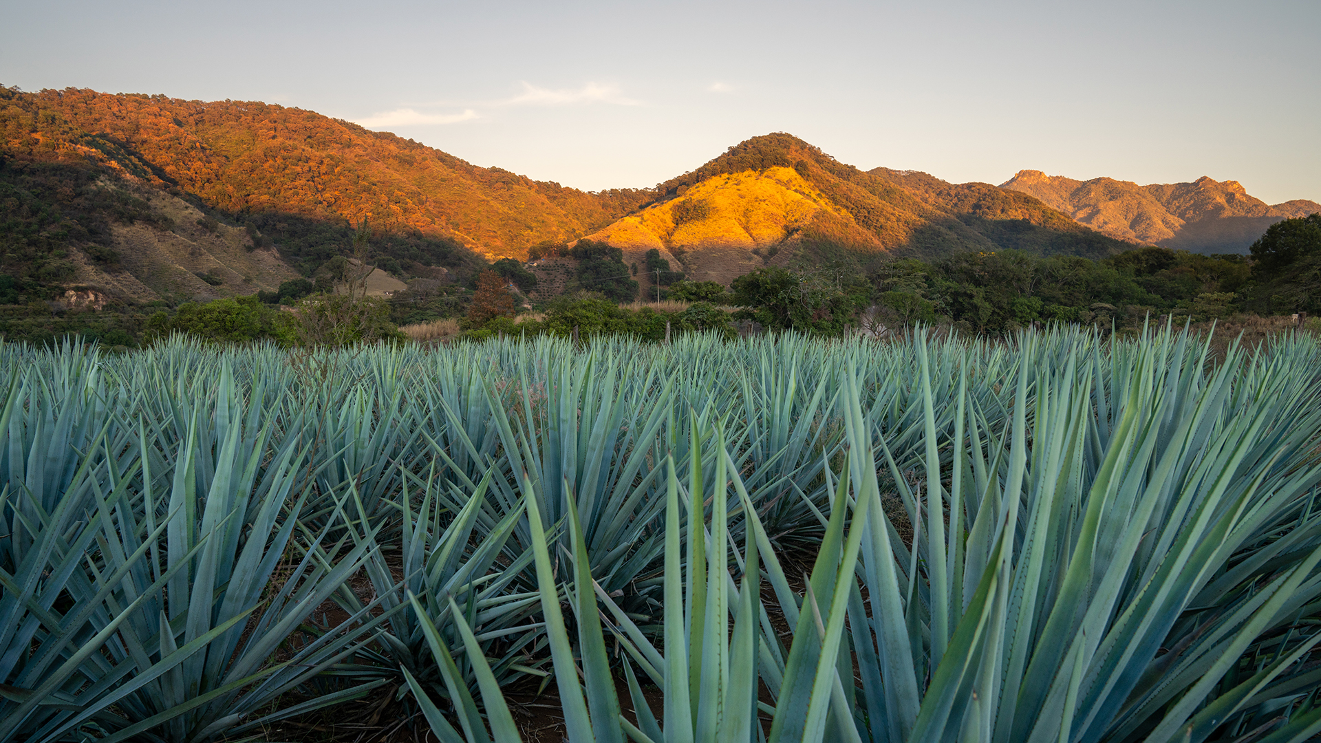 Phlearn - The Beginner’s Guide to Travel Photo Editing 2 1920x1080 banner