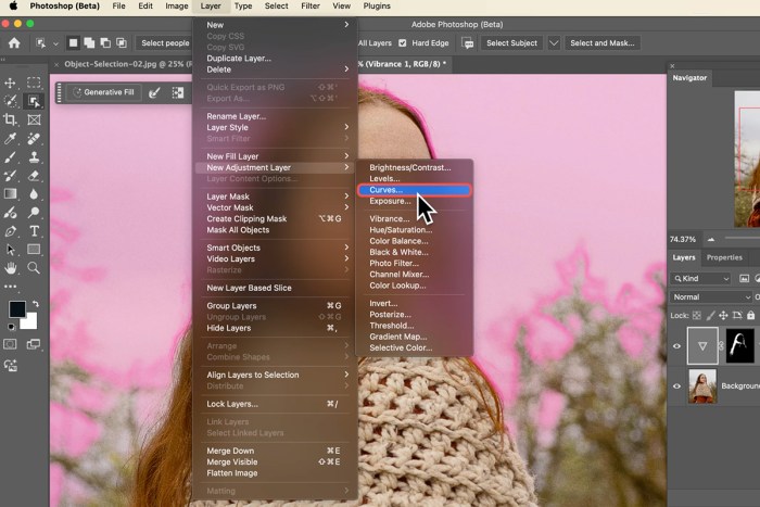 Photoshop Beta 2025: Exploring The New Object Selection Tool – PHLEARN