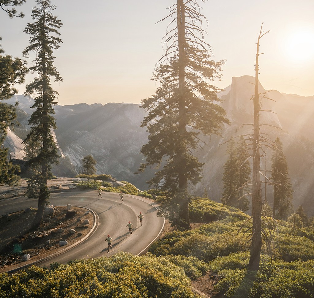 The same forest scene after adding a radial gradient and light rays in Photoshop