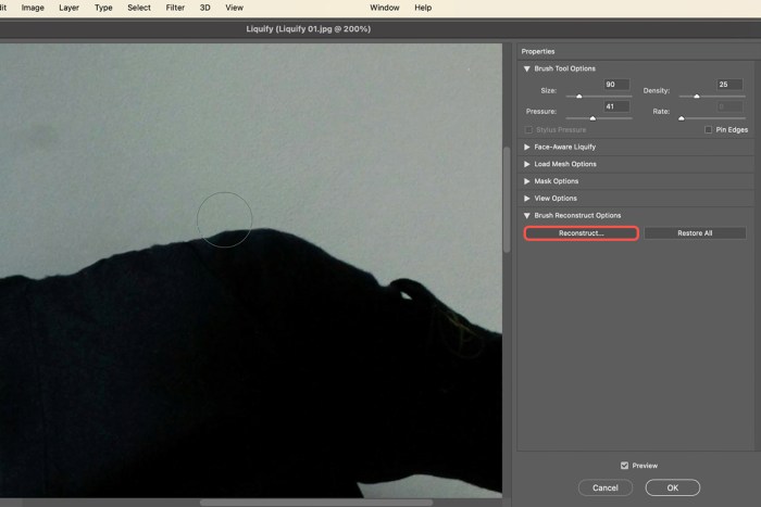 How to Use the Liquify Tool in Photoshop - PHLEARN