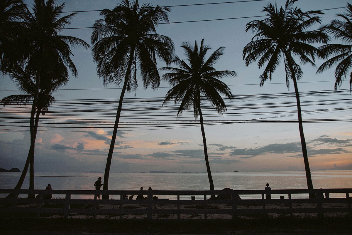 Palm trees silhouetted against a dusk sky