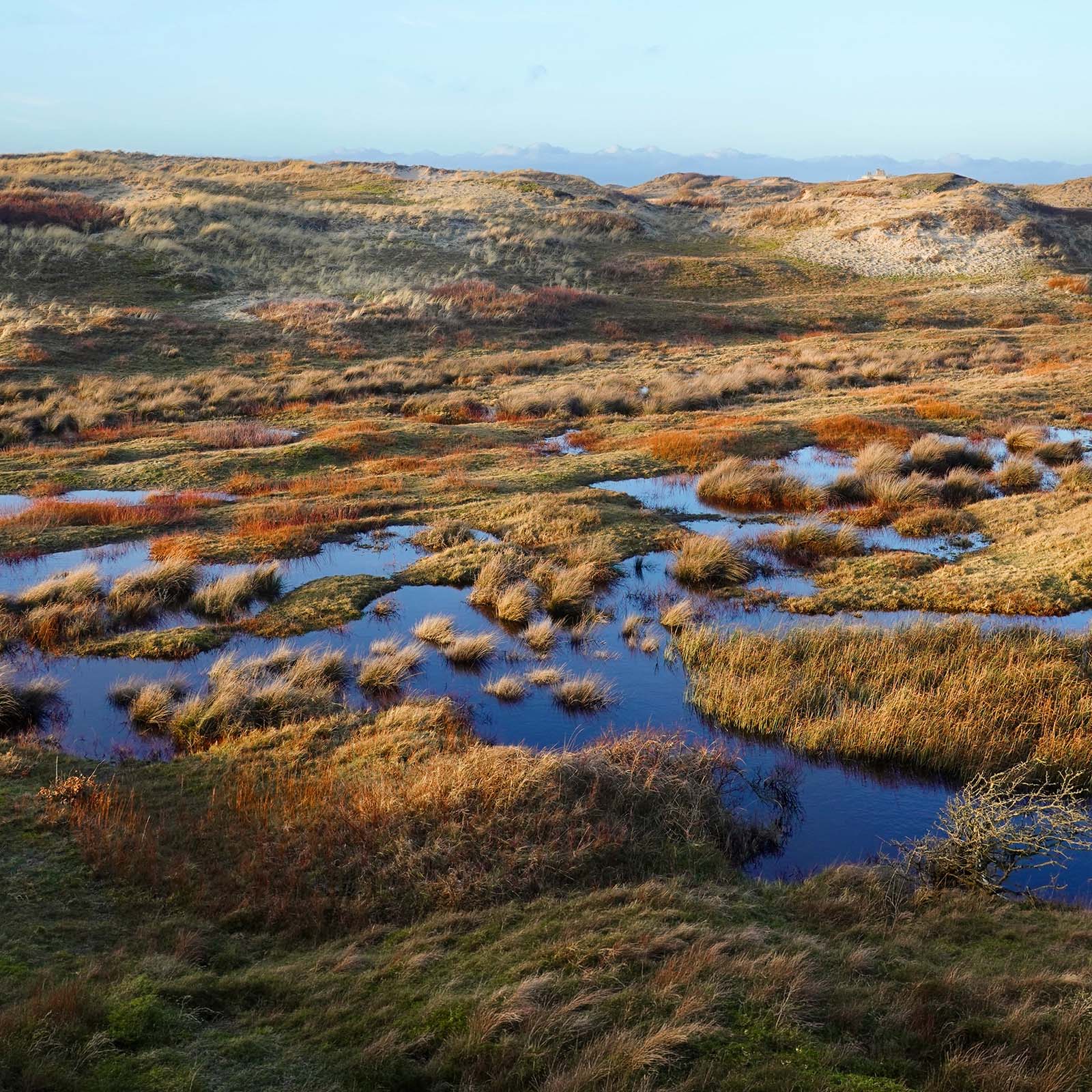 The same coastal dune marsh after editing in Photoshop, with warmer golden light on the grasses, deeper blue in the water and stronger contrast across the dunes
