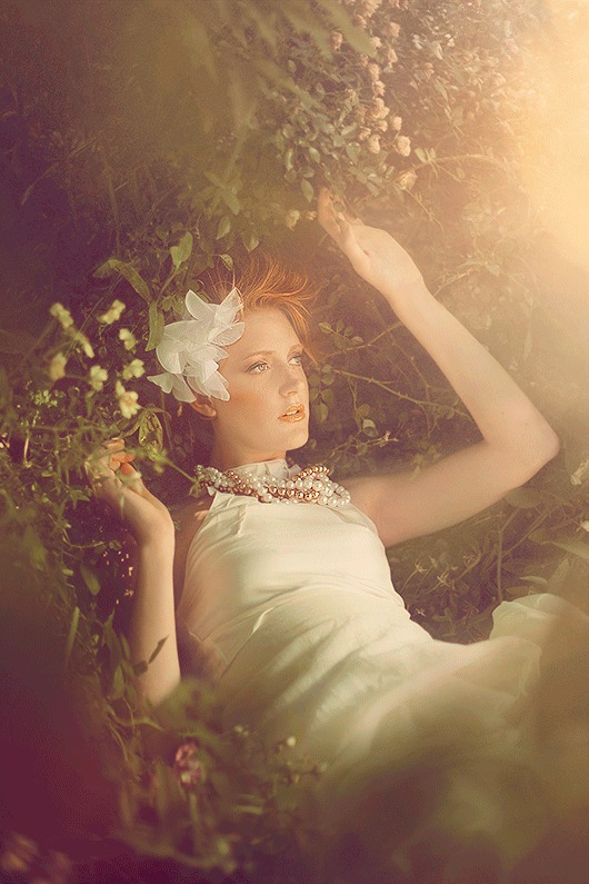 The same shot after a warm vintage colour grade in purple and gold