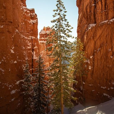Landscape and Travel Editing Learning Path