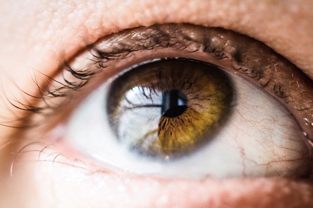 Close-up of a hazel eye