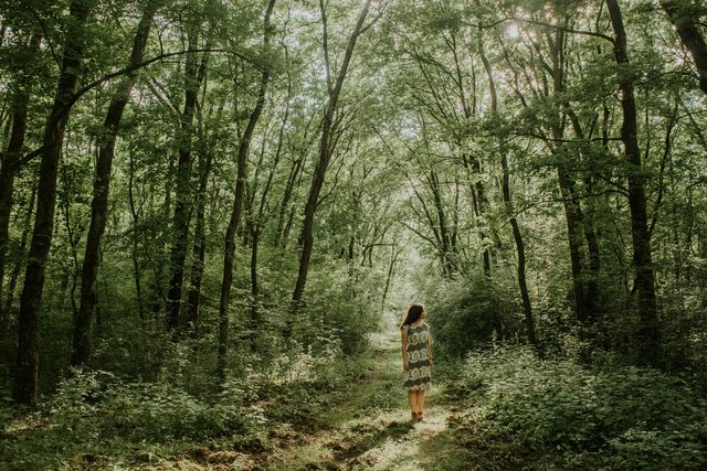 Woman standing on a path in a green leafy forest