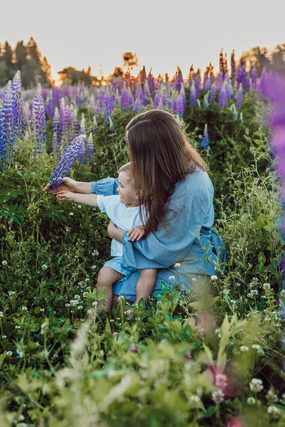 Mother and toddler sitting among purple lupine flowers