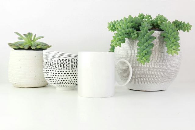 White mug between potted succulents and patterned bowls
