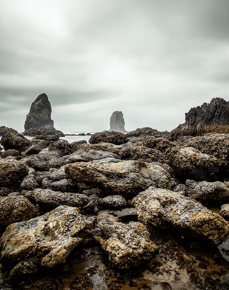 Smart Dodge and Burn Photoshop action after: rocky sea stacks with more depth