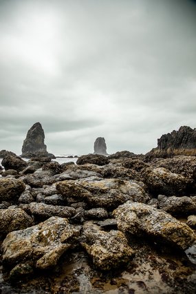 Sea stacks on a rocky shore