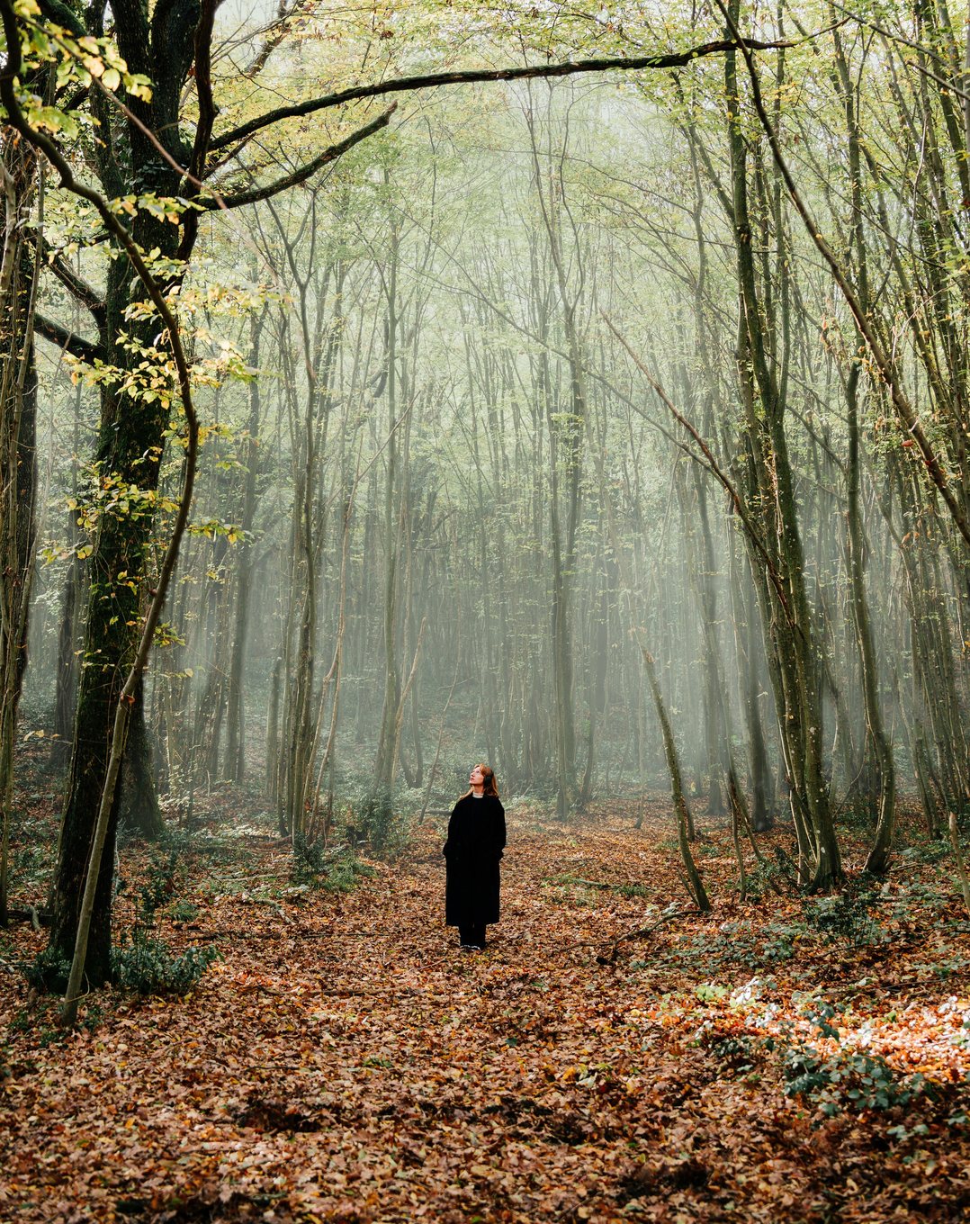 After: fog painted deep into the beech wood behind her with the Smoke and Fog Brushes