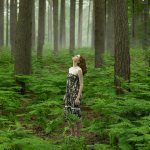 A woman among ferns in a hazy pine forest