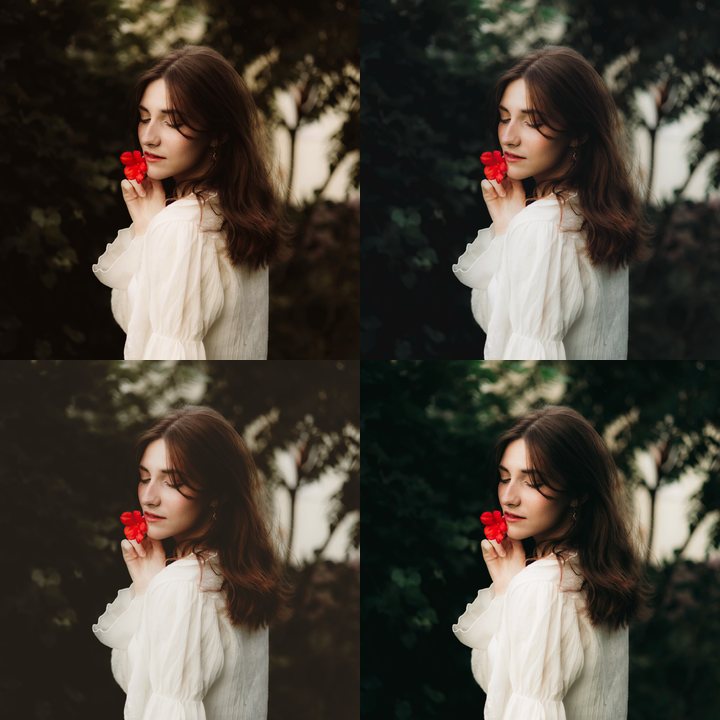 Four PHLEARN Lightroom presets on a woman holding a red flower: Amber Light, Blue Hour, Warm Fade and Teal Shadows