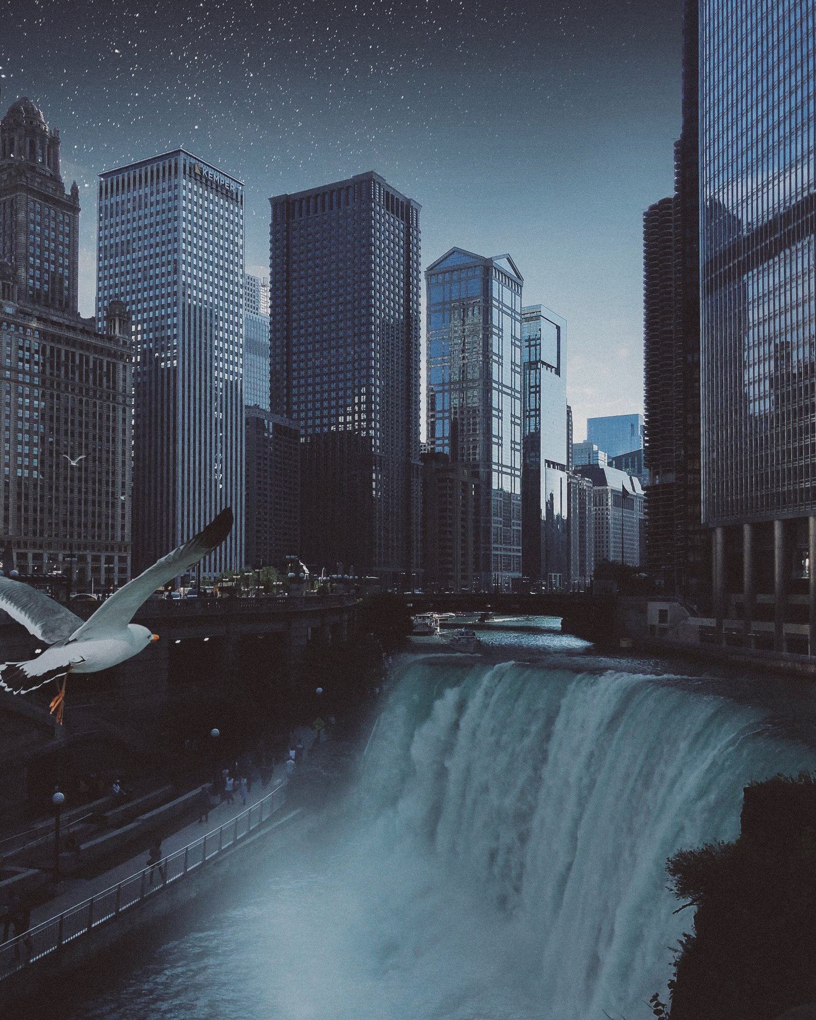 Elise Swopes surreal edit: composite of a waterfall pouring through a downtown river between glass towers under a starry sky, a gull in the foreground