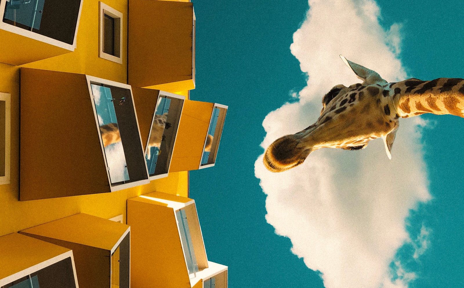 Swopes Art 8 web