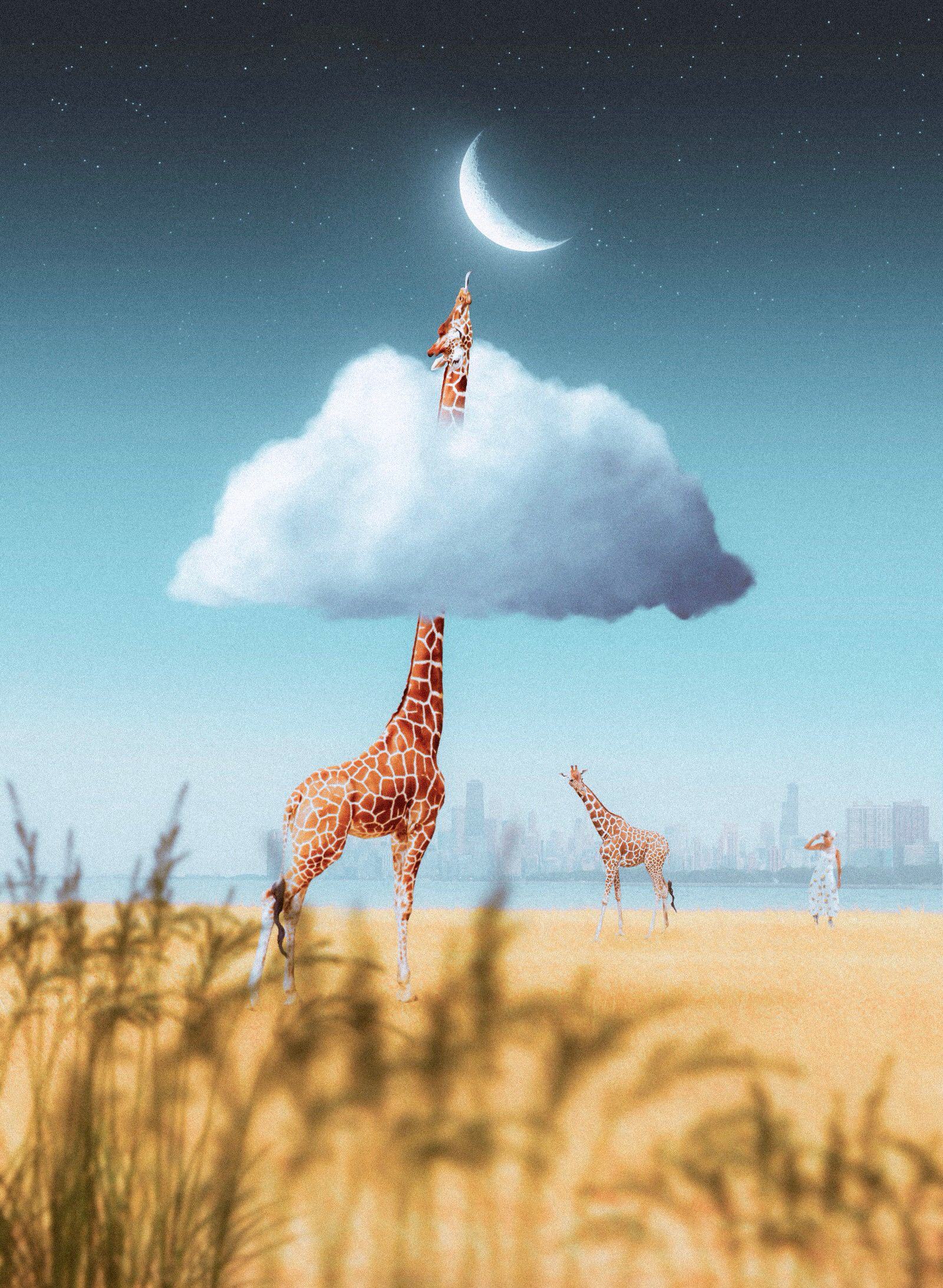 Composite of a giraffe reaching its head through a cloud toward a crescent moon, on a beach with a city skyline beyond
