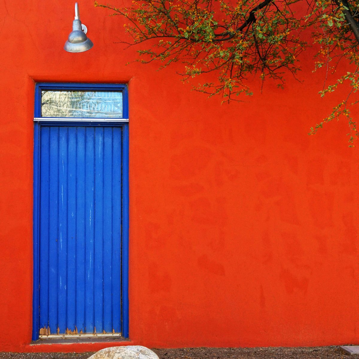 A bright blue door set in a red-orange painted wall, with a lamp above it and branches hanging over the top